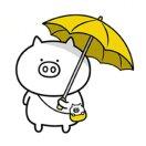 老益的个人资料头像