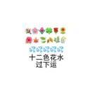 老文的个人资料头像