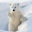 地瓜烧的个人资料头像