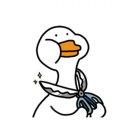 遥望的个人资料头像