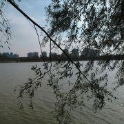 若为冰的个人资料头像