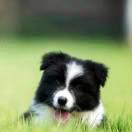 FORWARD的个人资料头像