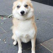 你想该带丶的个人资料头像