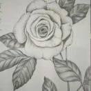 哎哟重名了的个人资料头像