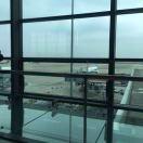 AZ的个人资料头像