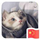 梧桐在掘金90008的个人资料头像