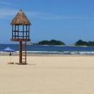 000君90062的个人资料头像