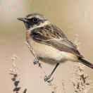 王磊重名了90073的个人资料头像