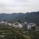 明天更好本尊的个人资料头像