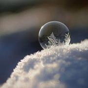 wh19951224的个人资料头像