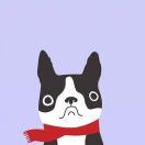 陈沉陈的个人资料头像