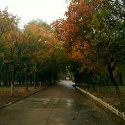 灯下没有影的个人资料头像