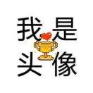 Acoupdetat的个人资料头像