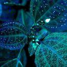 明天过后在掘金的个人资料头像