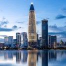 互联网技术服务的个人资料头像