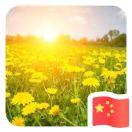 盗梦空间的个人资料头像