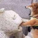 兆江的个人资料头像