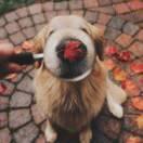 Rememberance的个人资料头像