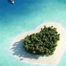 AI诺岚的个人资料头像