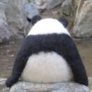 囡囝囚团的个人资料头像