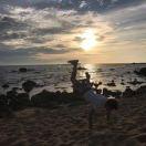 不再回头的个人资料头像