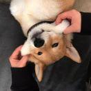 letio的个人资料头像