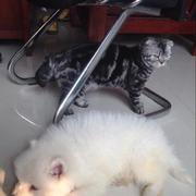 zhangkai0821的个人资料头像