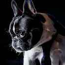 酱90465的个人资料头像