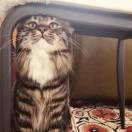 Cts90523的个人资料头像