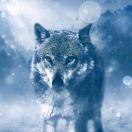 Admini的个人资料头像