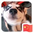 TLYPS的个人资料头像