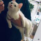 阿骏本尊的个人资料头像