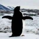 AugustusW的个人资料头像