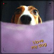 橘子JC的个人资料头像