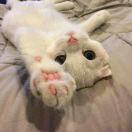 ONE的个人资料头像