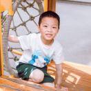 无肉则叟的个人资料头像