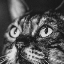 biubiu90700的个人资料头像