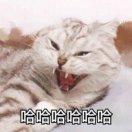 冰镇西瓜汁的个人资料头像