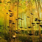 qsliang的个人资料头像