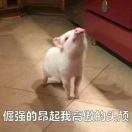 爱学习90768的个人资料头像