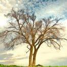 花开堪折直须折的个人资料头像