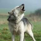 小学僧就是我的个人资料头像