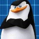 何师傅的个人资料头像