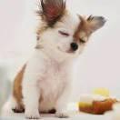 平凡岁月的个人资料头像