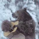 言者歌途的个人资料头像