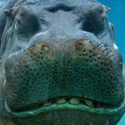 yyccmmkk的个人资料头像