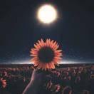 就是我90971的个人资料头像