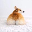 乔不矢的个人资料头像