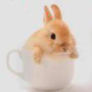 Jun不想说话的个人资料头像