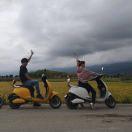 舍得的个人资料头像